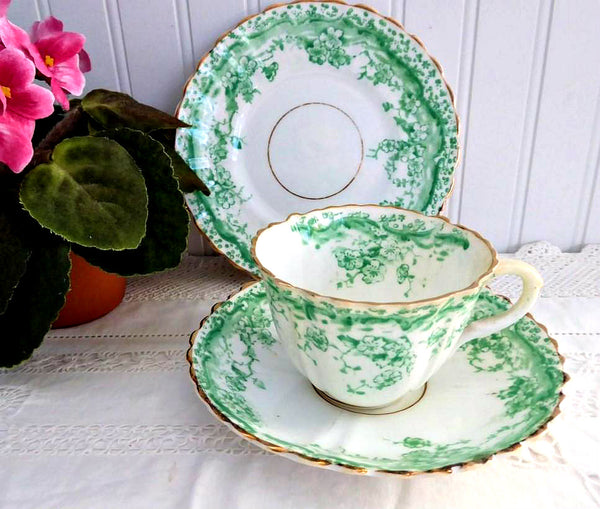 Victorian Green Cup and Saucer Set (6 Cups and 6 Saucers) – Vigneto