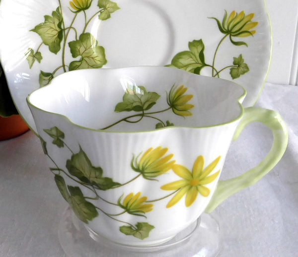 Shelley Fine Bone China, Celandine, popular Tea Cup and Saucer