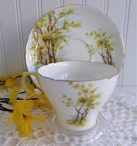 Shelley Daffodil Time Cup and Saucer 1950s Sunny Yellow Gold Trim New  Cambridge