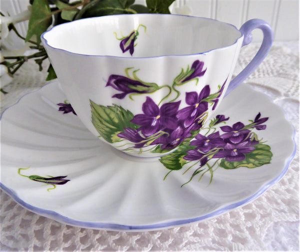 Shelley Violets Cup And Saucer Ludlow English Bone China