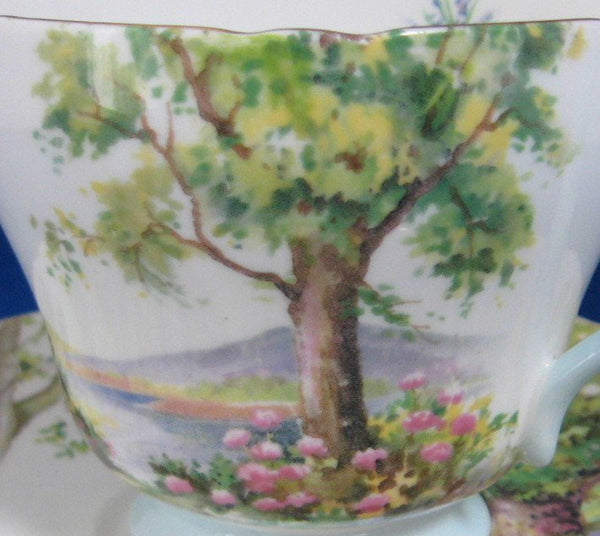 http://www.antiquesandteacups.com/cdn/shop/products/1950s-Shelley-Woodland-Richmond-teacup-e_grande.jpg?v=1498342376