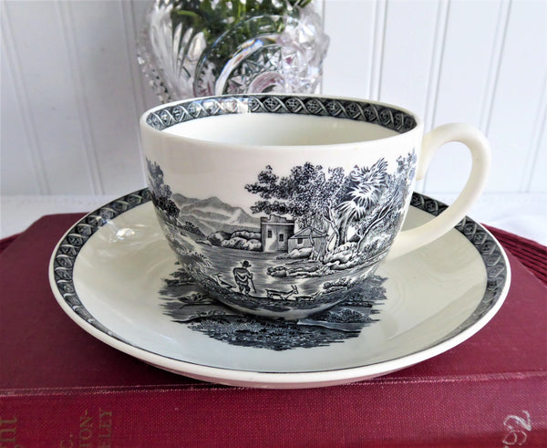 http://www.antiquesandteacups.com/cdn/shop/products/1970s-Wedgwood-Lugano-teacup-a_grande.JPG?v=1670282012