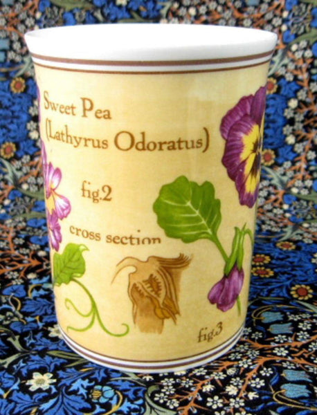 Mug Lavender Lavandula Botanical English Bone China Crown Trent