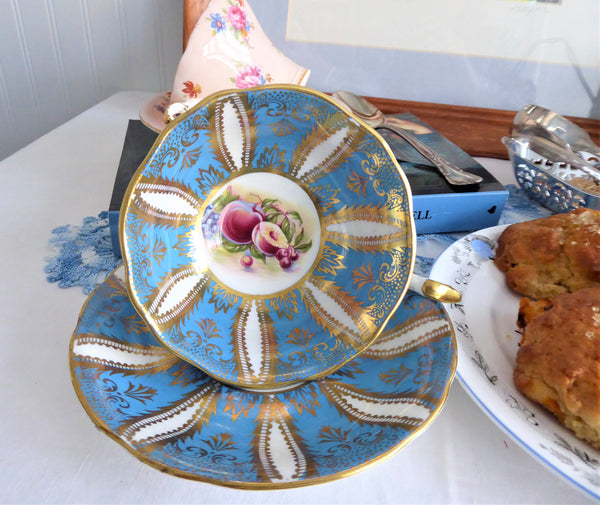 Rare 1960s cheapest PARAGON Fancy STILL LIFE FRUIT cup and SAUCER in good shape