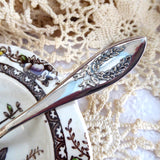 Jelly Set Edwardian Rockford Silver Jelly Spoon Meakin Medway Bowl 1909