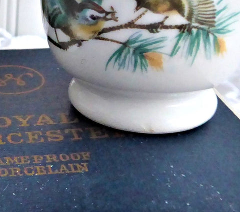 Royal Worcester Egg Coddler Bird Egg Coddler 