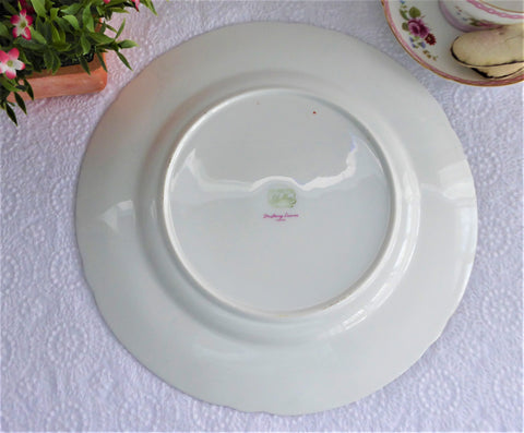 https://www.antiquesandteacups.com/cdn/shop/products/1950s-Shelley-DrifyingLeaves-dinner-plate-j_large.jpg?v=1591232693