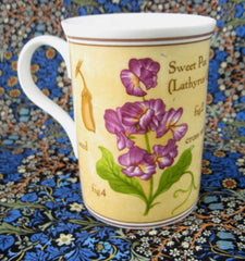 Mug Lavender Lavandula Botanical English Bone China Crown Trent